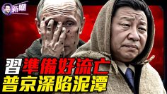 [ID: yos-pgnQLtY] Youtube Automatic