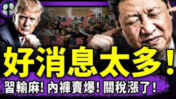 [ID: ZdbrOQ7NgAY] Youtube Automatic